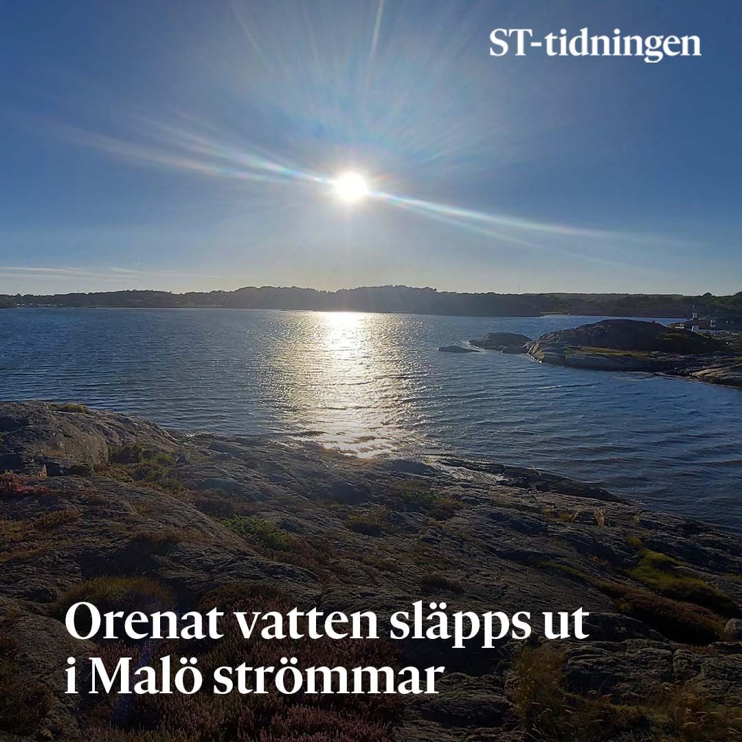 Obehandlat processvatten släpps ut från vattenverket i Kårehogen, rakt ut i Malö… | 𝘀𝘁𝘁𝗶𝗱𝗻𝗶𝗻𝗴𝗲𝗻